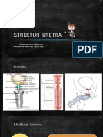 Stritur Uretra