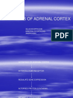 Hormones of Adrenal Cortex: Glucocorticoid Mineralocorticoid Androgen