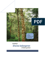 Buku BUDIDAYA Shorea Balangeran DI LAHAN GAMBUT-compres PDF