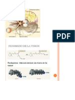 Visión esteoscópica y esterofotografía.docx