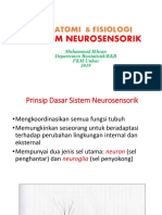 Sistem Neurosensorik