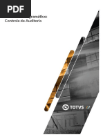 Controle de Auditoria v12 Cp01