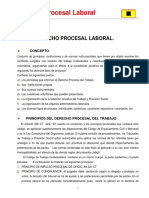 Derecho Procesal Laboral.pdf