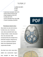 TUTOR 17 (Vena-Vena Diotak)