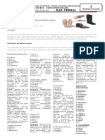 Practica 03 Raz. Verbal Con Claves