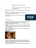 Patologias de la voz.docx
