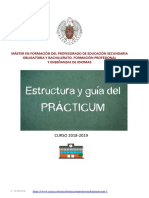 Guía Practicum 2018-2019