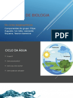 Trabalho de Biologia Ciclos Biogequimicos FINAL