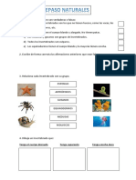 Naturales Repaso