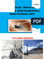 Legilacion Minera SSOMA 2019 Capitulo 2