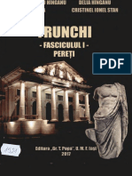 Trunchi-Fasciculul 1-Pereti - Hinganu Marius Valeriu - Hinganu Delia - Sava Anca Si Stan Cristinel Ionel - 2017 PDF