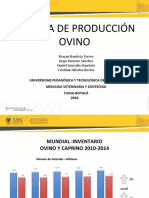Produccion Ovinos