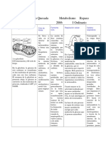 Metabolismo - Resumen