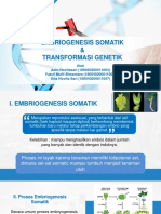 Somatic Embryogenesis.pptx