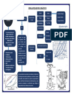 Organizador Gráfico Practica de Instrumentacion