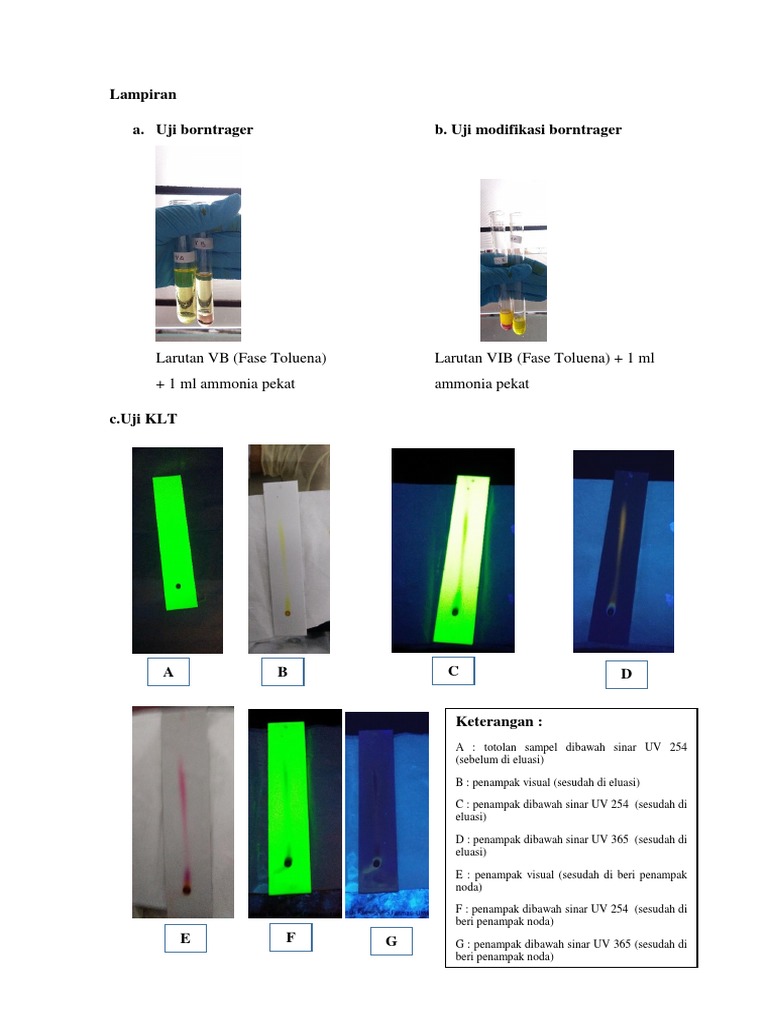Document Title Analytical Testing Procedures for Borntrager Test and