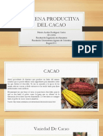 Cadena Productiva Del Cacao Expo
