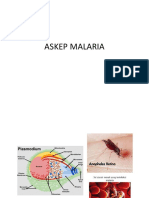 Askep Malaria