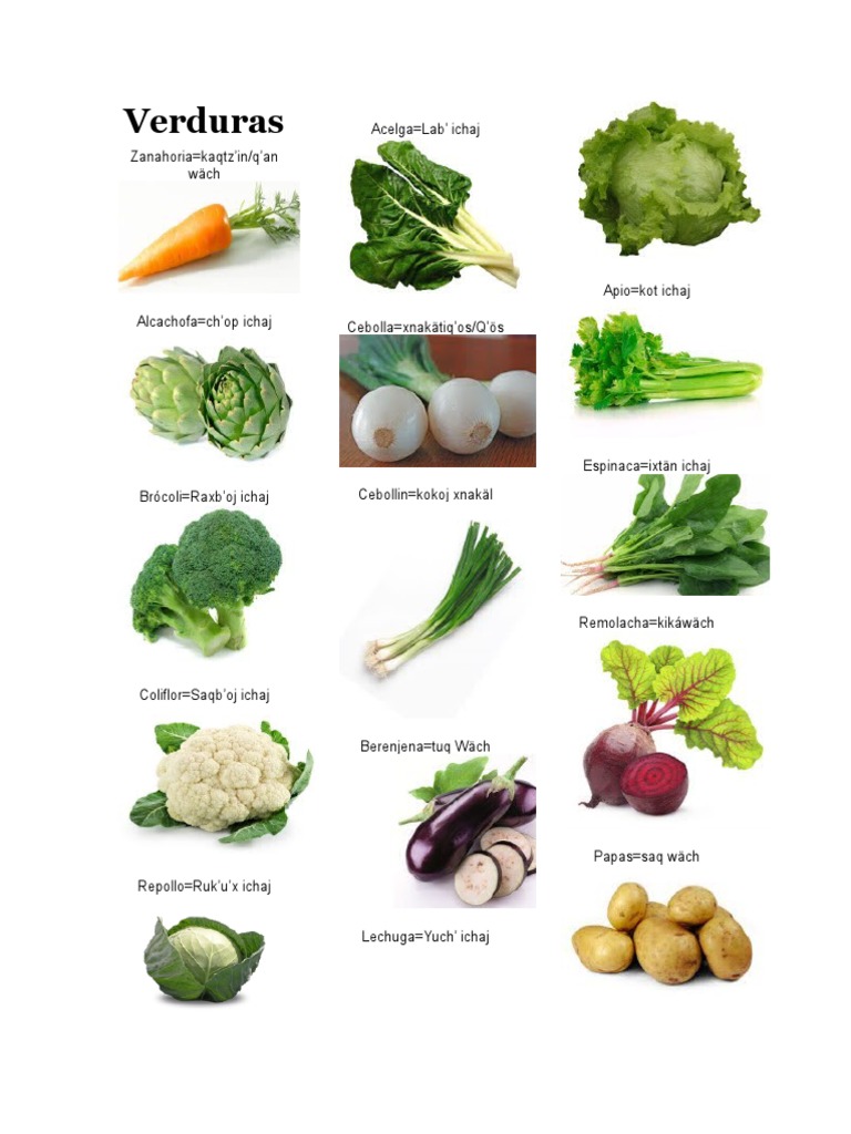 Verdura y Frutas en Kaqchikel | PDF