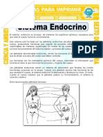 Sistema-Endocrino-para-Sexto-de-Primaria.doc