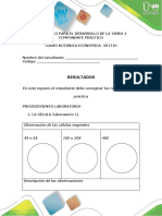 Protocolo Para El Desarrollo Del Componente Practico - Tarea 4