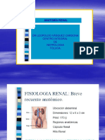 ANATOMIA Y FISIOLOGIA RENAL.ppt