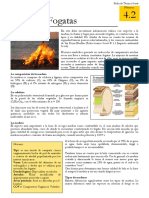 4.2_Tipos_de_Fogatas.pdf