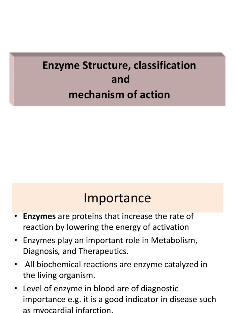 Enzyme Structure and Mechanisms Explained | PDF | Active Site | Enzyme