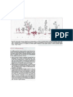 INFORMACION SOBRE INFLORESCENCIAS