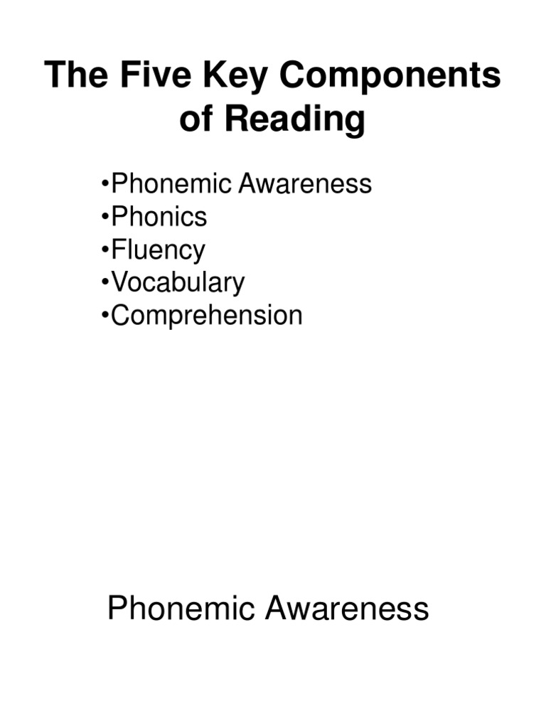 Six Components of Reading PDF Phonics Reading Comprehension