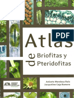 Atlas de briofitas y pteridofitas.pdf
