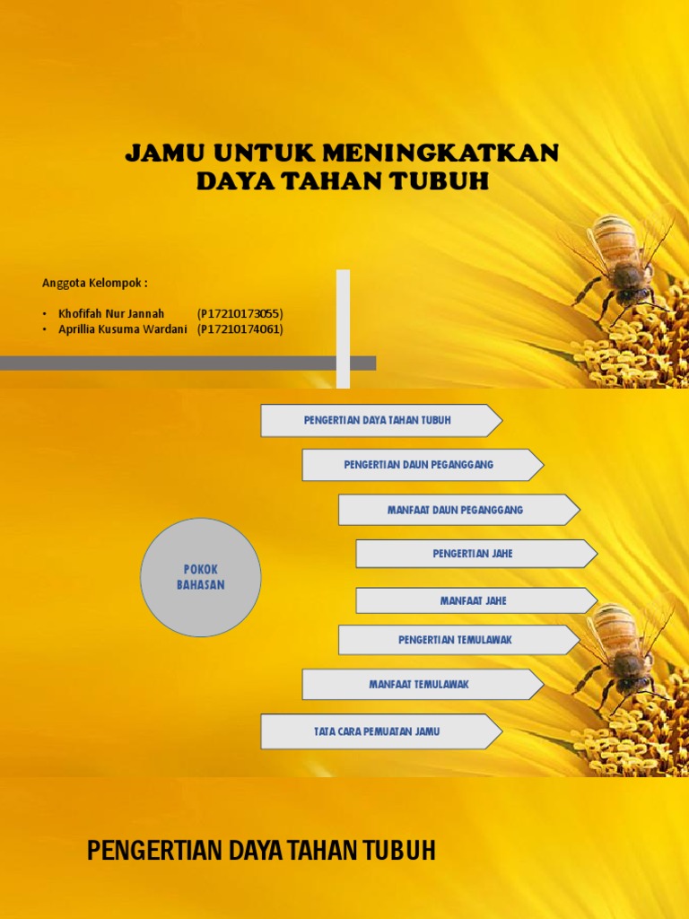 Jamu Untuk Meningkatkan Daya Tahan Tubuh