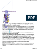 Celibacy - Scientific Analysis - Tattva Gyan.pdf