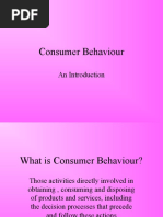 Consumer Behaviour: An Introduction