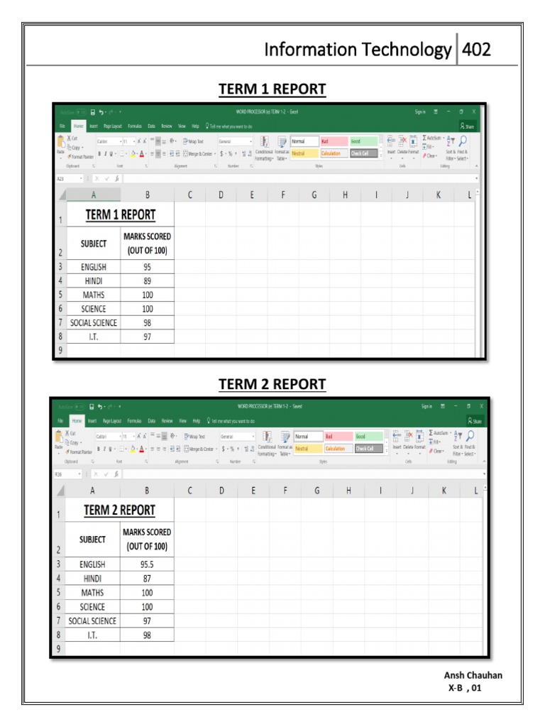 IT 402 Term 1 & 2 Reports | PDF