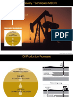 Oil Recovery Techniques MEOR