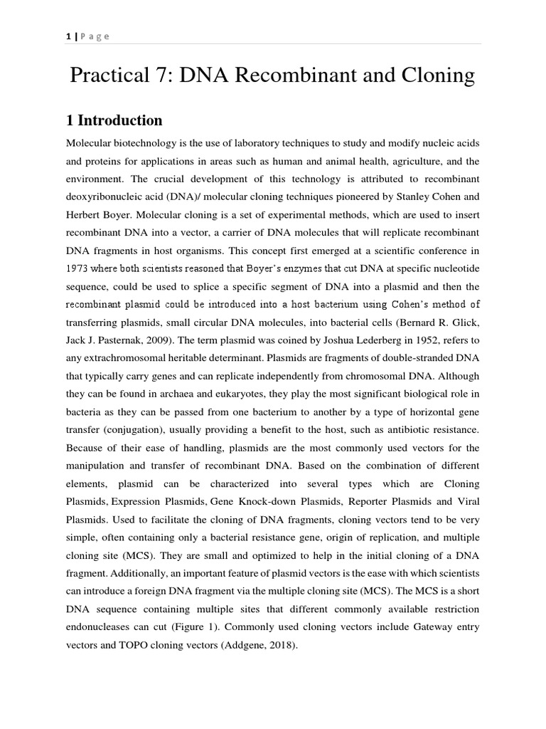 Lab Report Cloning Pt1 PDF Molecular Cloning Plasmid
