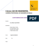 informe ambiental conta sonora.docx