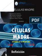 Células Madre