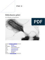 000.heliobacter Pylori