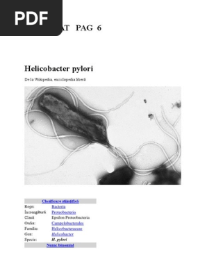 000 Heliobacter Pylori Docx