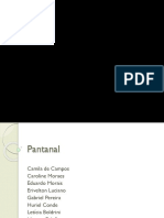 Apresentação Pantanal.pptx