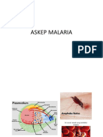 ASKEP MALARIA.pptx