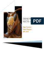 Ordenes Principales Insectos EP 2018