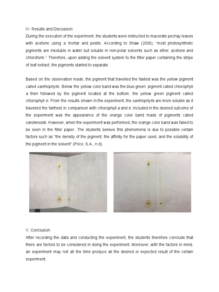 Paper Chromatography PDF Chlorophyll Photosynthesis