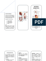 Pegable Sistema Digestivo