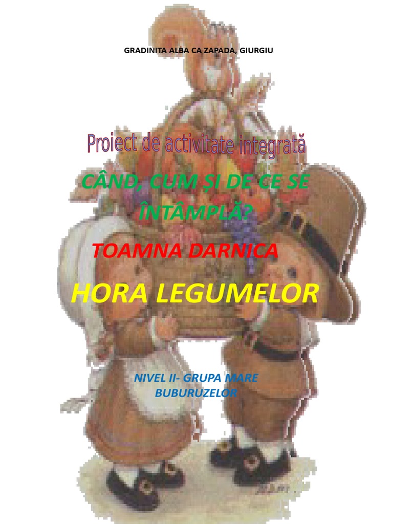 Proiect Didactic