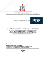 Dissertacao_GeoquimicaOrganicaFormacao.pdf