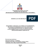 Dissertacao GeoquimicaOrganicaFormacao PDF