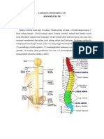 Spondilitis TB